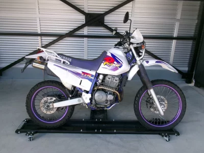 Yamaha TT250RRAID