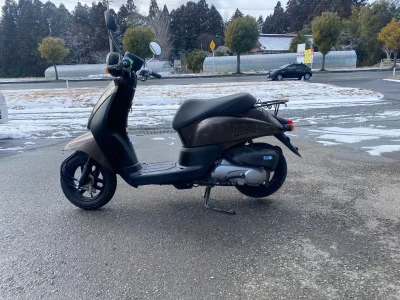 Honda REBEL 250 ABS  с аукциона в Японии