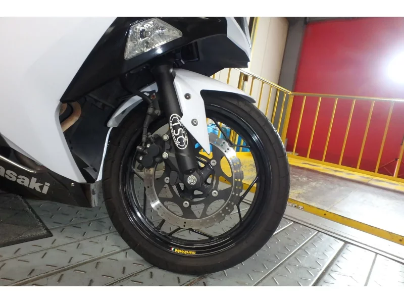 Kawasaki Ninja 250