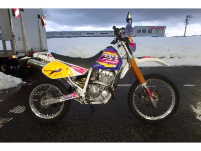 Suzuki DR250R