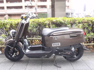 Yamaha VOX DX