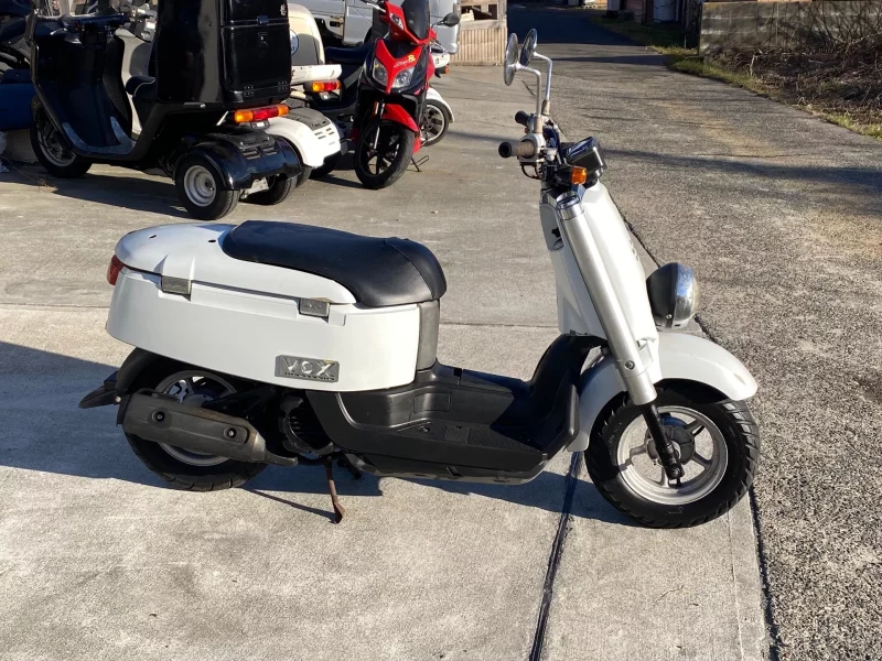 Yamaha VOX