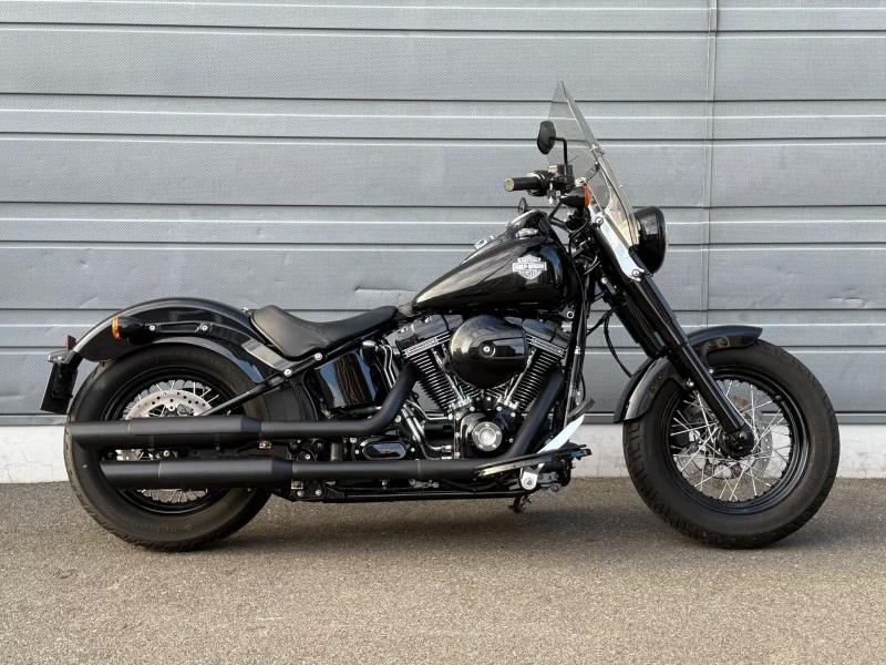 Harley-Davidson HARLEY FLSS лот № 02267 оценка 4  с аукциона в Японии