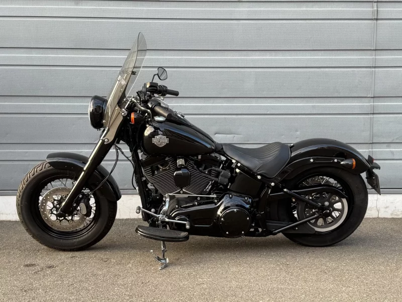 Harley-Davidson HARLEY FLSS