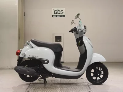 Honda GIORNO -3