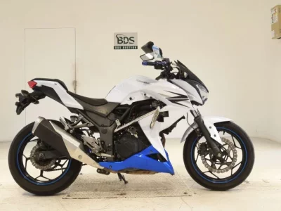 Kawasaki Z250