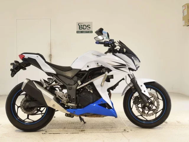 Kawasaki Z250