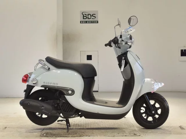 Honda GIORNO -3