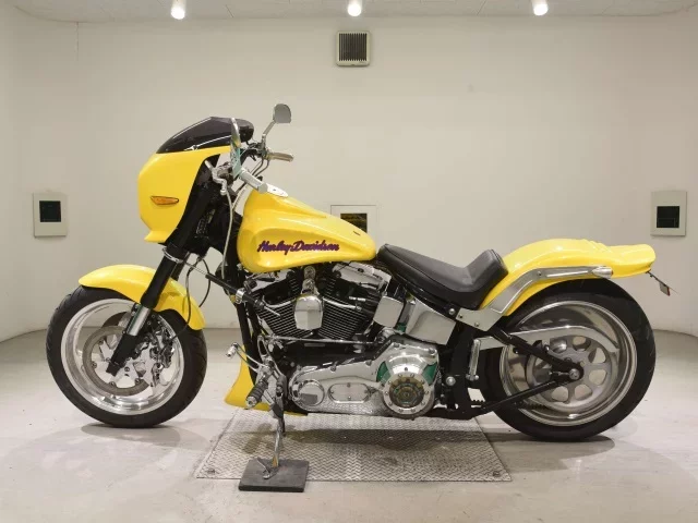 Harley-Davidson HARLEY FLSTF1450