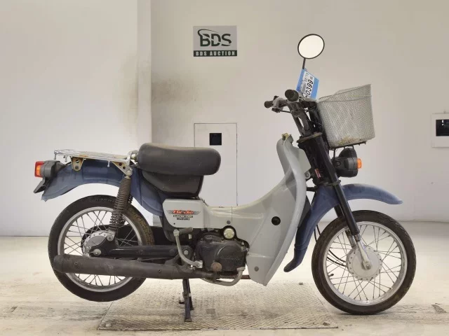 Suzuki BIRDIE50