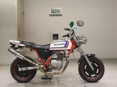 Honda APE100