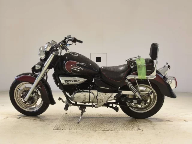 Other HYO-SUNGV250