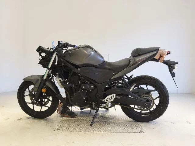Yamaha YZF-R25