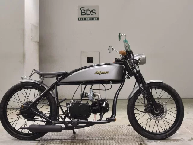Other SKY TEAM 125