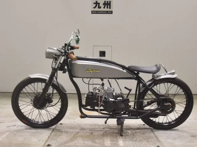 Other SKY TEAM 125