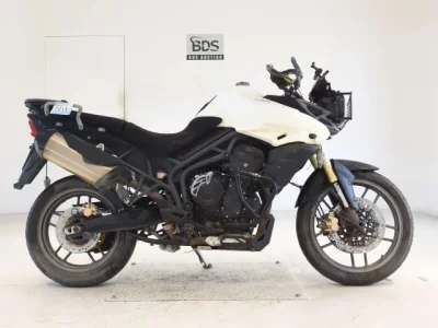 Triumph TRIUMPH TIGER 800 SHO LOUIS NA