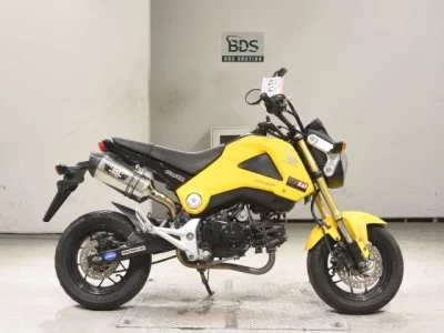Honda GU ROM