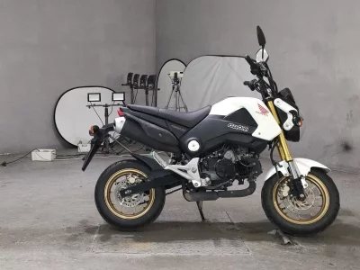 Honda GU ROM