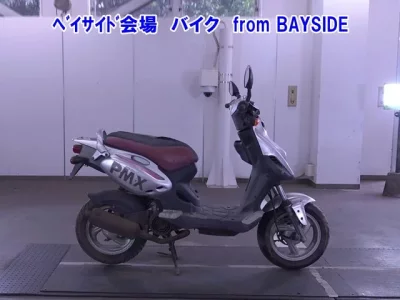 PGO PMX 110