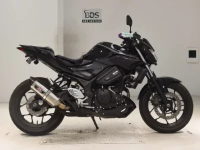 Yamaha MT-25  с аукциона в Японии