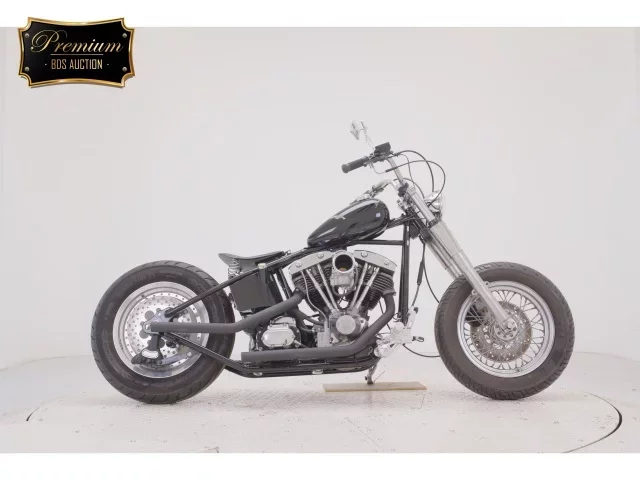 Other KIT BIKE 1200 лот № 2533 оценка 5  с аукциона в Японии