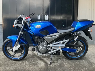 Suzuki GOOSE350