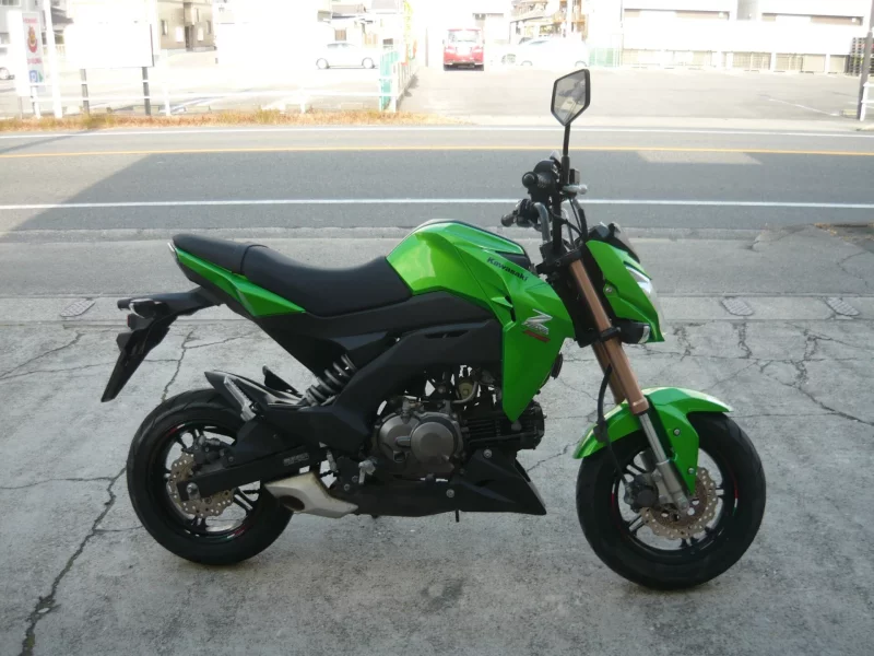Kawasaki Z125 PRO