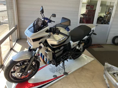 Kawasaki ZRX1200 DAEG