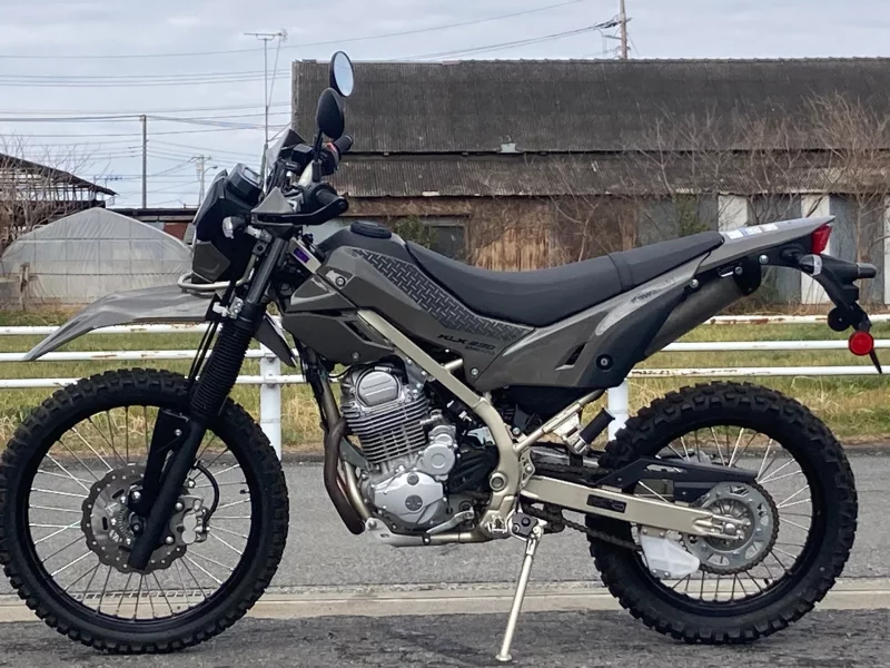 Kawasaki KLX230 SHERPA