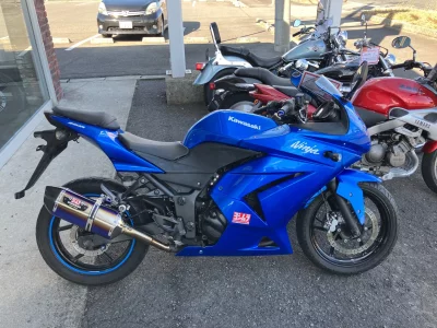 Kawasaki Ninja 250R