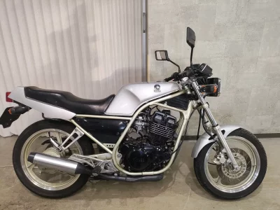 Yamaha SRX250-1
