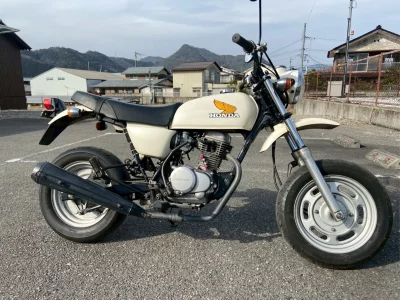 Honda APE100