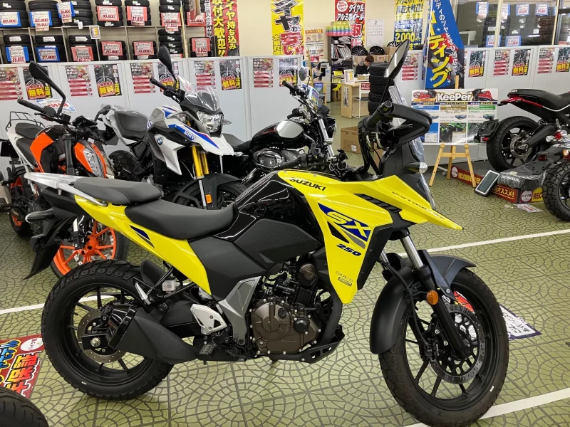 Suzuki V STROM SX