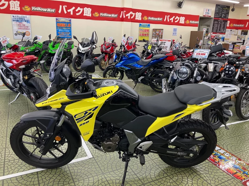 Suzuki V STROM SX