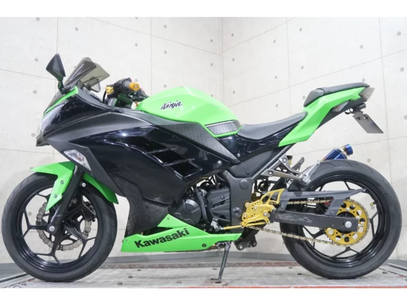 Kawasaki Ninja 250