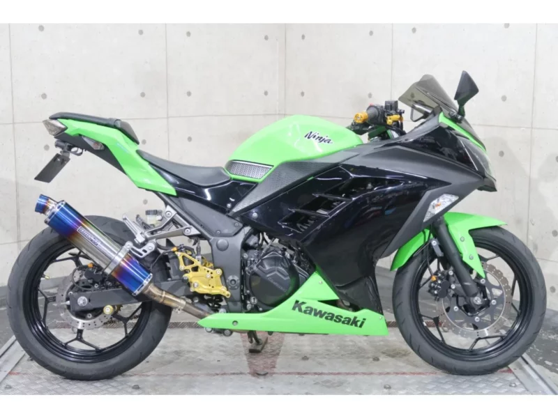 Kawasaki Ninja 250