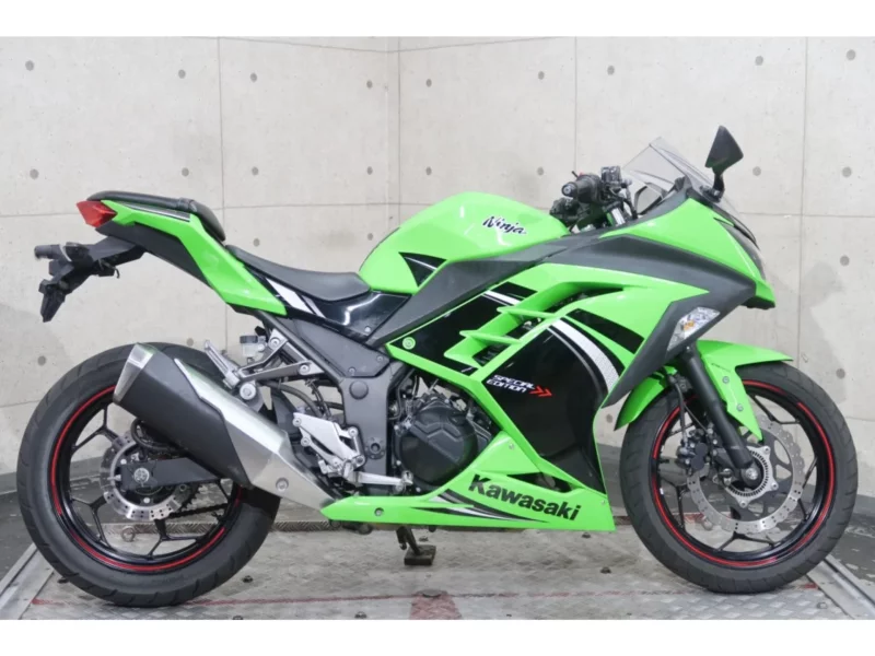 Kawasaki Ninja 250 ABS SE