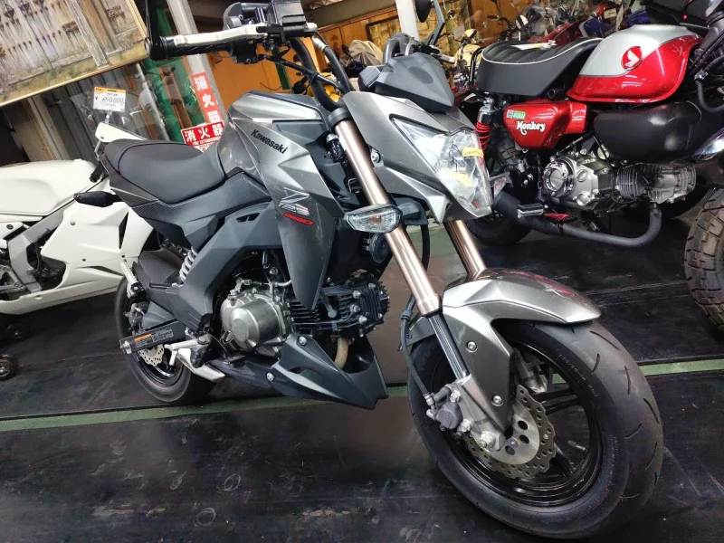 Kawasaki Z125 PRO