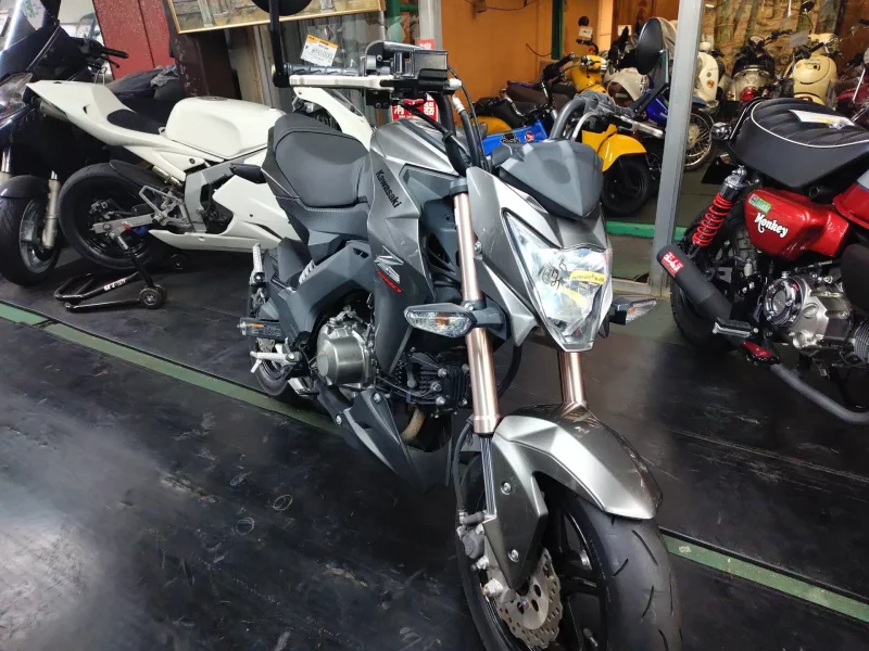 Kawasaki Z125 PRO