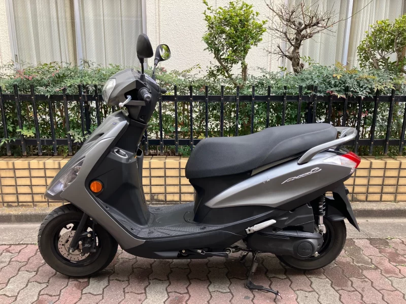 Yamaha AXIS Z