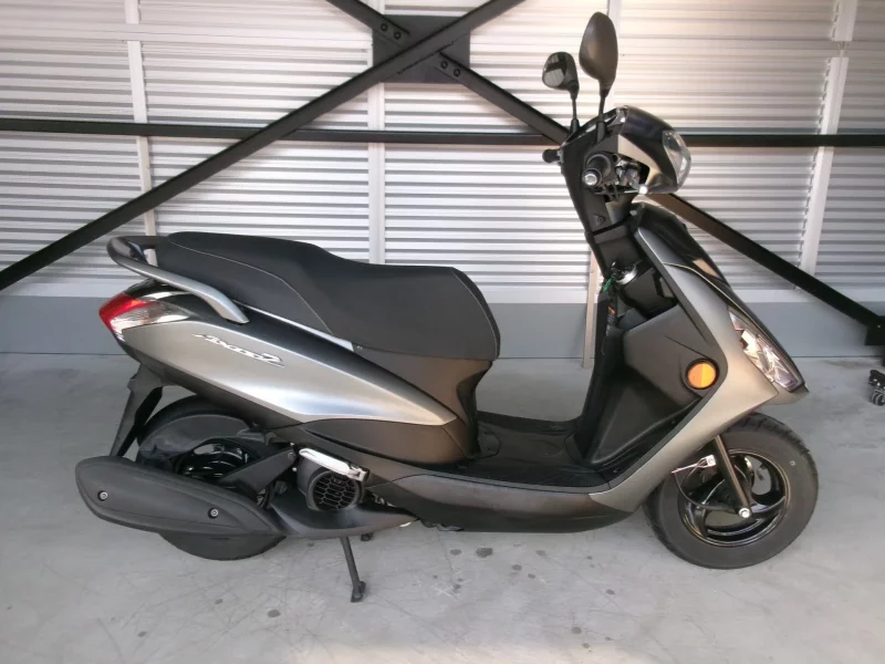 Yamaha AXIS Z