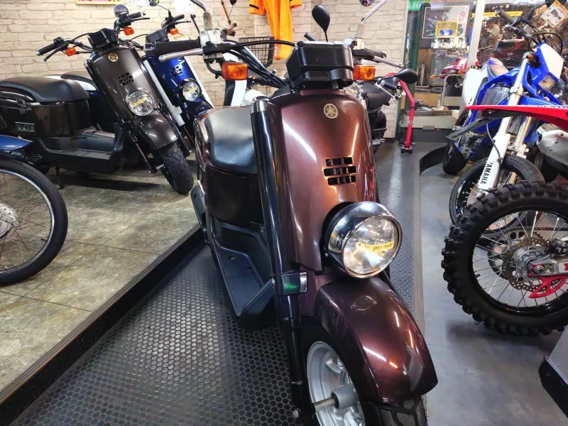 Yamaha VOX