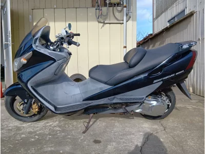 Suzuki SKY WAVE 250TYPES
