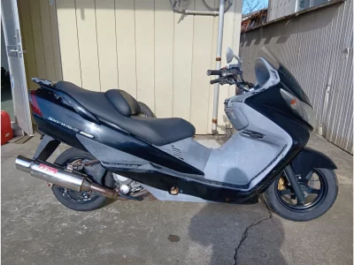 Suzuki SKY WAVE 250TYPES