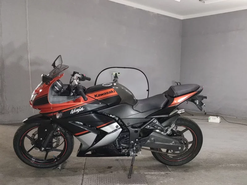 Kawasaki NINJA250R