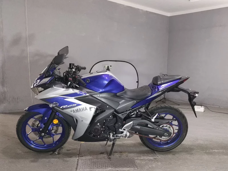 Yamaha YZF-R25