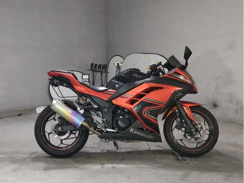 Kawasaki NINJA250