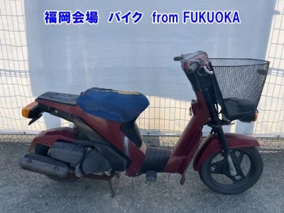 Suzuki MOLLET