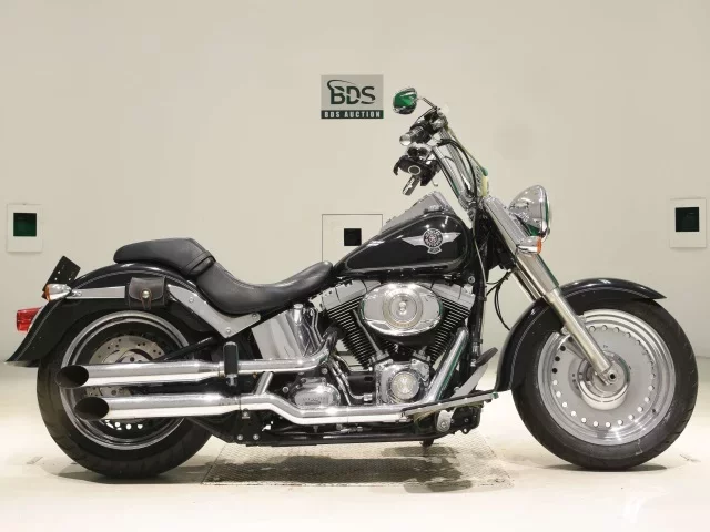 Harley-Davidson HARLEY FLSTF1580