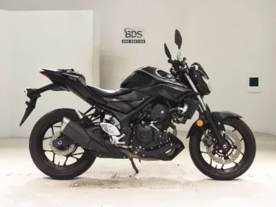 Yamaha MT-25